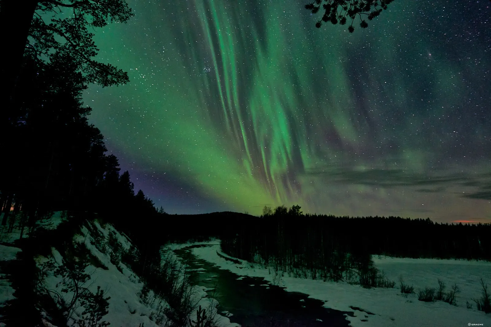 Northern Lights over a snowy river and pine forest in Swedish Lapland
